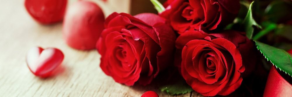 Best Florists Hurricane, WV