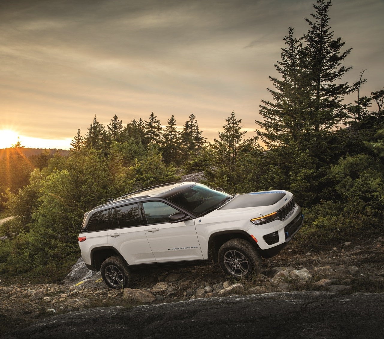 Discover Your Jeep in Our Inventory